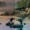 color correction example images